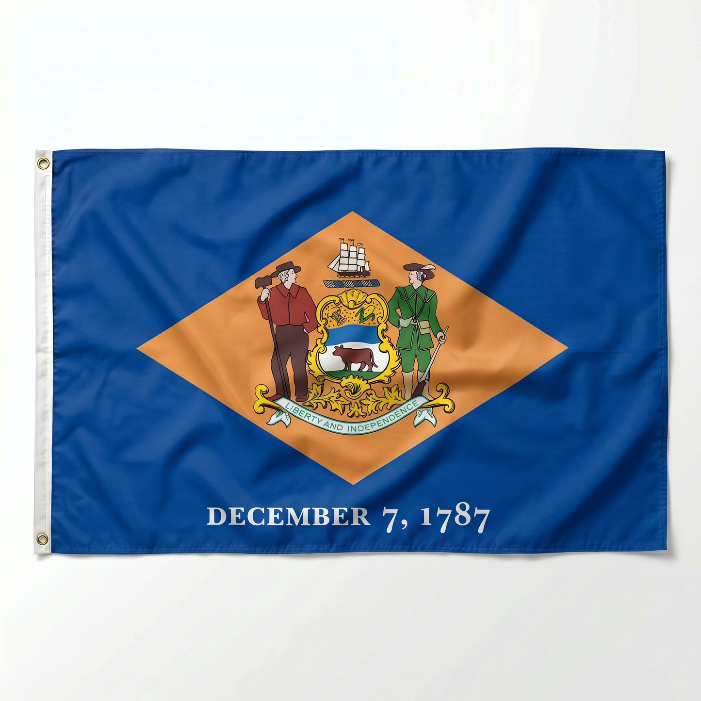 Delaware State Flag - 3x5 ft