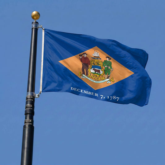 Delaware State Flag - 3x5 ft